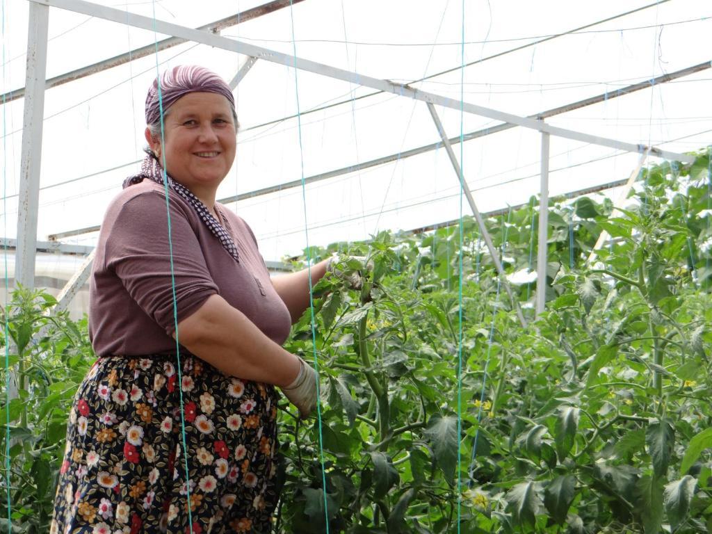 Aygun Pension Tekirova Dış mekan fotoğraf